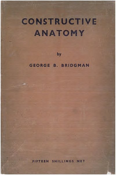 constructiveanatomy