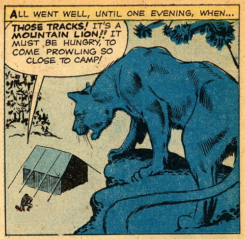 ditko_the-teddy-bear_amazing-adventures-v01-n03_August 1961