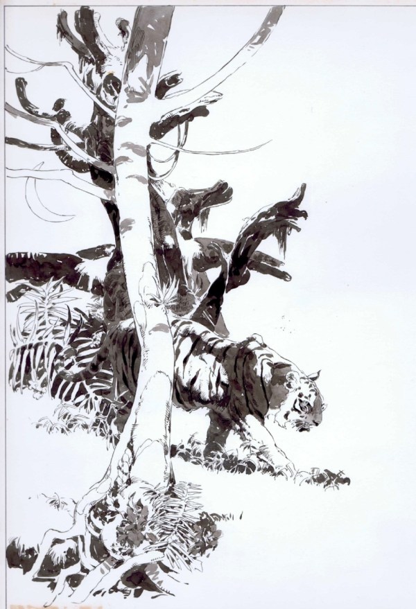 jeffrey-jones_extraordinary-verse_vampirella_n34-june1974