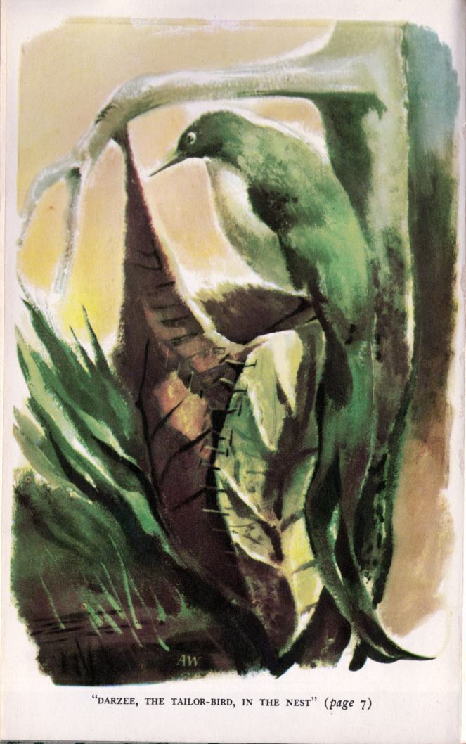 aldren-watson_the-jungle-books-v2_doubleday-1948_frontispiece