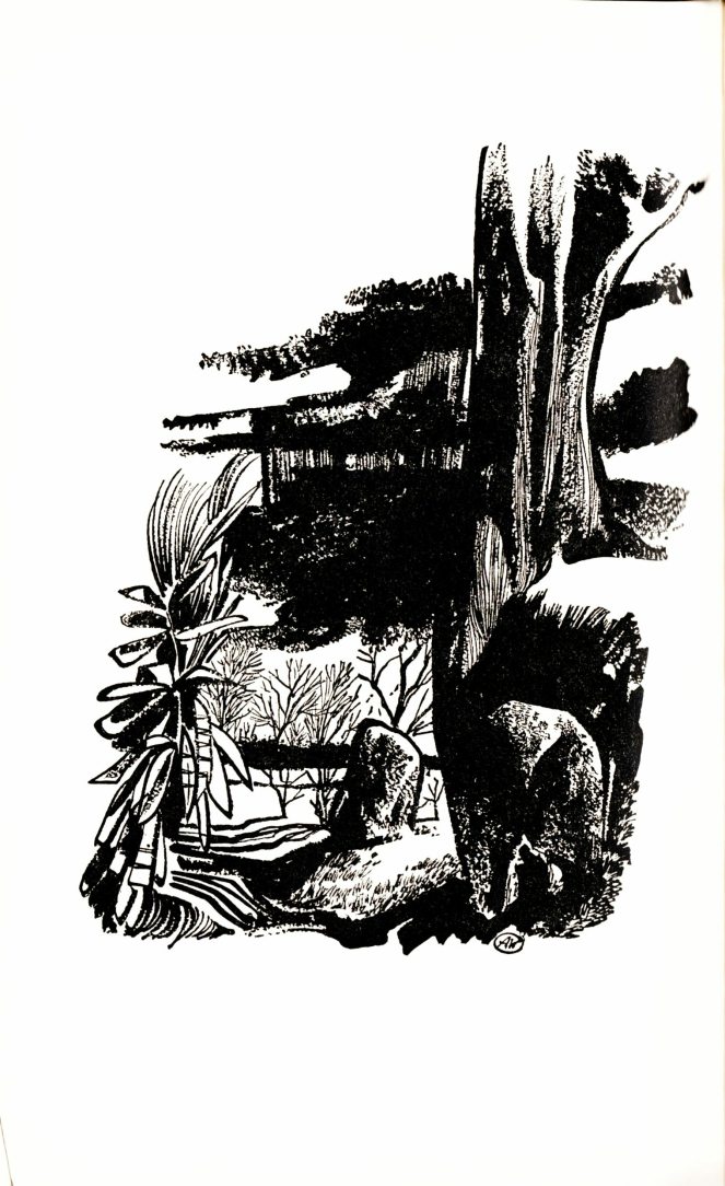 aldren-watson_the-jungle-books-v2_doubleday-1948_p162